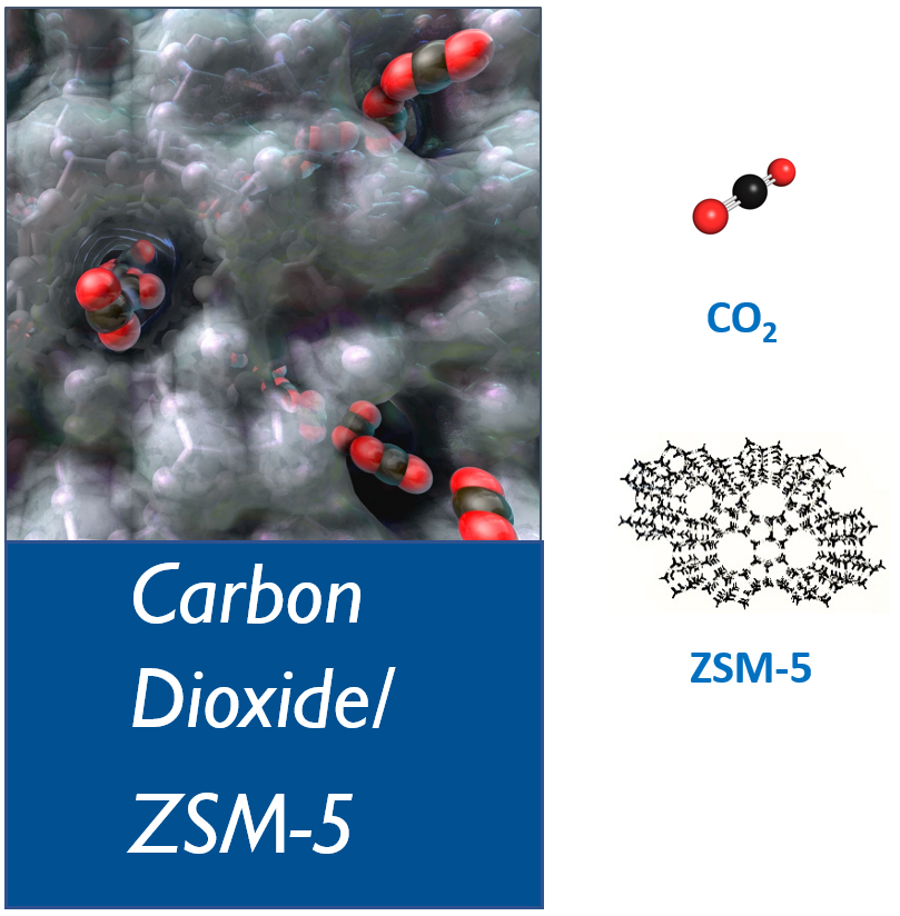 Reference Isotherm (CO2/ZSM-5) | NIST